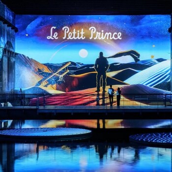 Exposition art vidéo Le Petit Prince Bassins des lumières